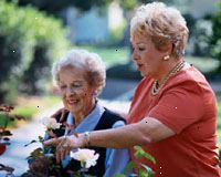 Εικόνα δύο ηλικιωμένες γυναίκες, χαμογελαστά